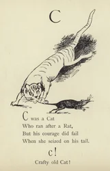 De letter C